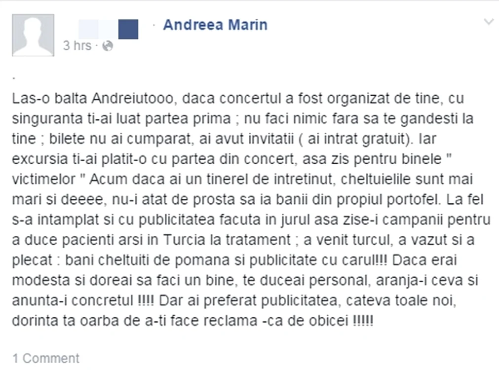 Acesta este mesajul integral scris de un internaut, pe pagina de Facebook a Andreei Marin