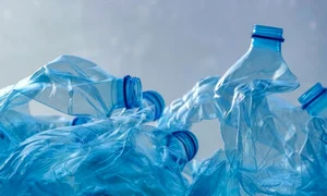 Sticle de plastic - reciclare FOTO Shutterstock 