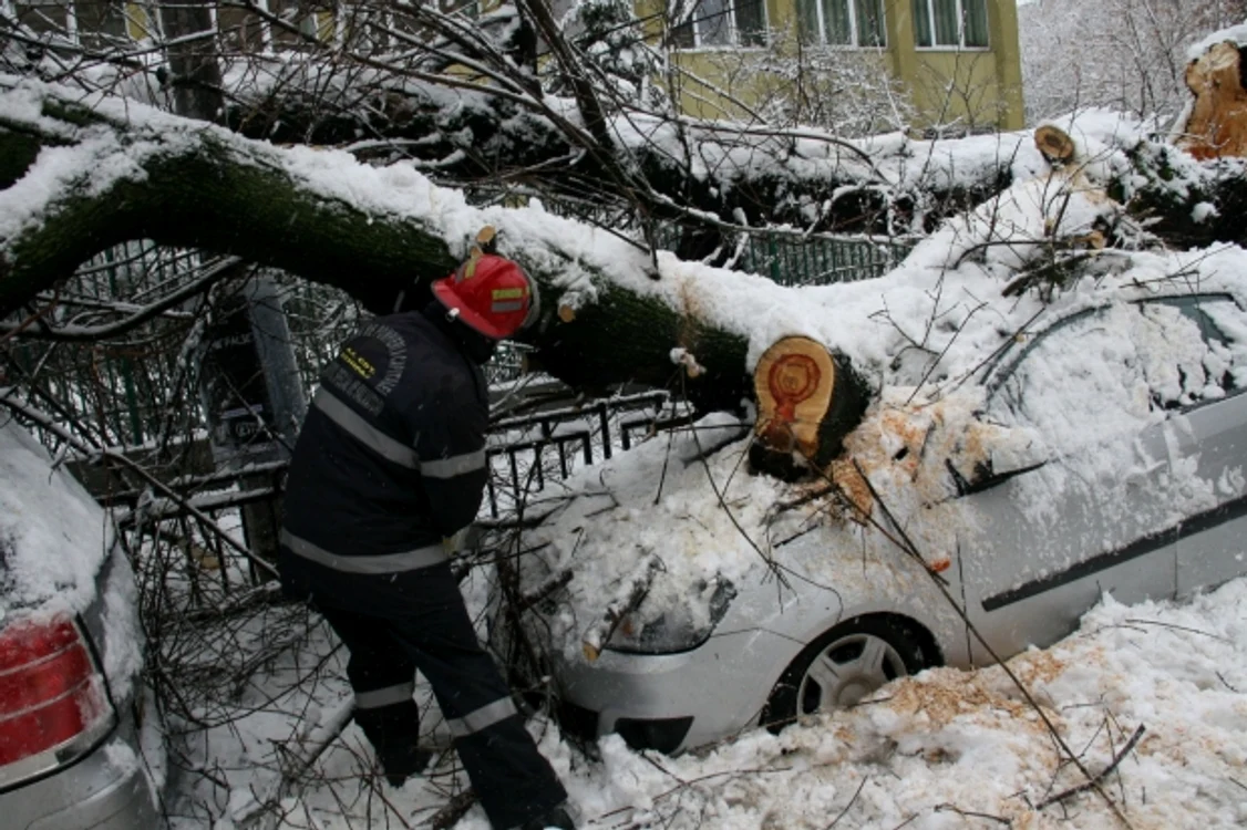 Pompierii de la ISU București-Ilfov au îndepărtat 15 copaci căzuți, dintre care nouă peste mașini