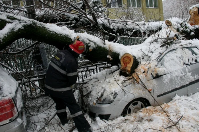 
    Pompierii de la ISU București-Ilfov au îndepărtat 15 copaci căzuți, dintre care nouă peste mașini  