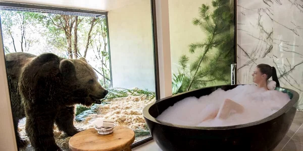 hotel zoo
