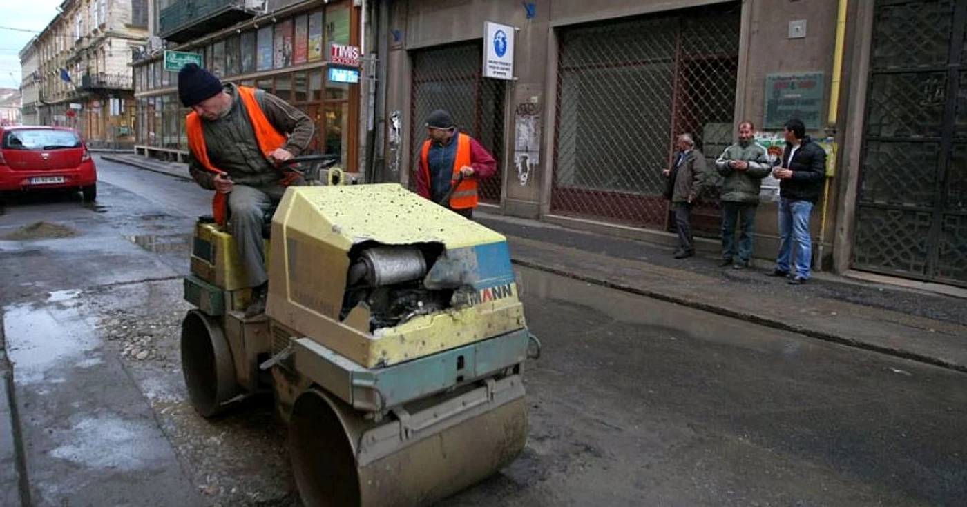 Străzile din Timişoara au "îngrijitori" noi. FOTO: Arhiva Adevărul