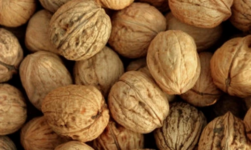 nuci, fructe oleaginoase jpeg
