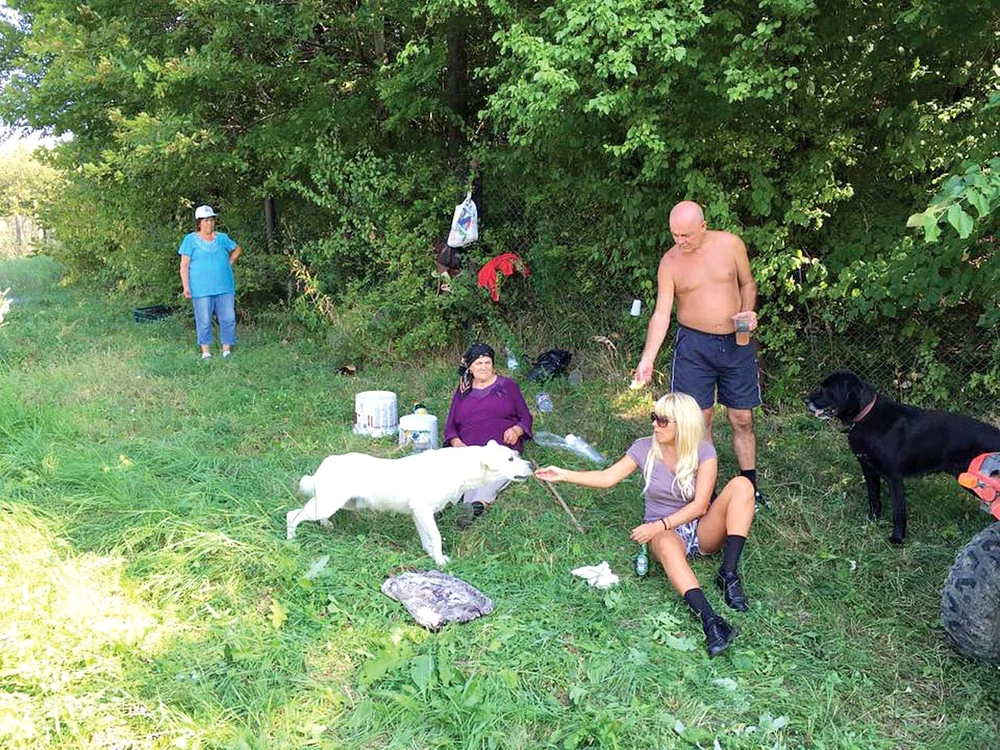 În weekend, Udrea a fost la cules de mere, s-a cocoţat pe tractor şi a dat de mâncare la câini