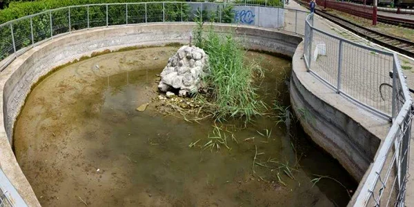 buzau