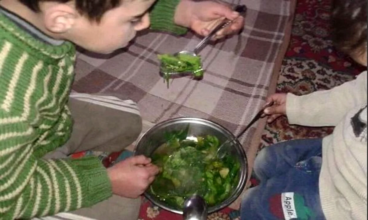 O supă de frunze: asta e masa locuitorilor din Madaya