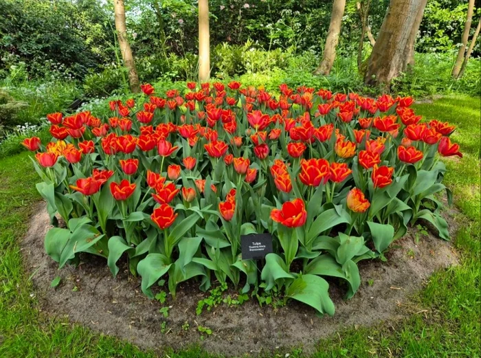 Foto: Asociația „Sfânta Doamnă Maria Brâncoveanu”