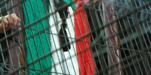 steag ungaria ars Foto