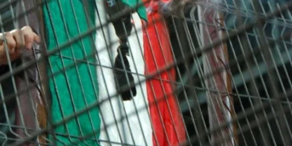 steag ungaria ars Foto