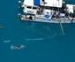 Diana Nyad FOTO Reuters