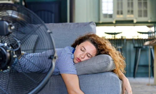somn vara canicula istock jpg