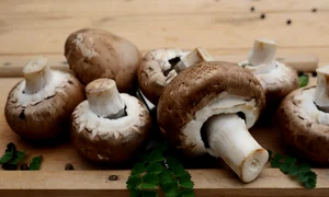 mushrooms 8618284 1280 jpg