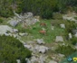 Animale sălbatice în Munții Retezat Sursa Parcul național Retezat (3) jpg