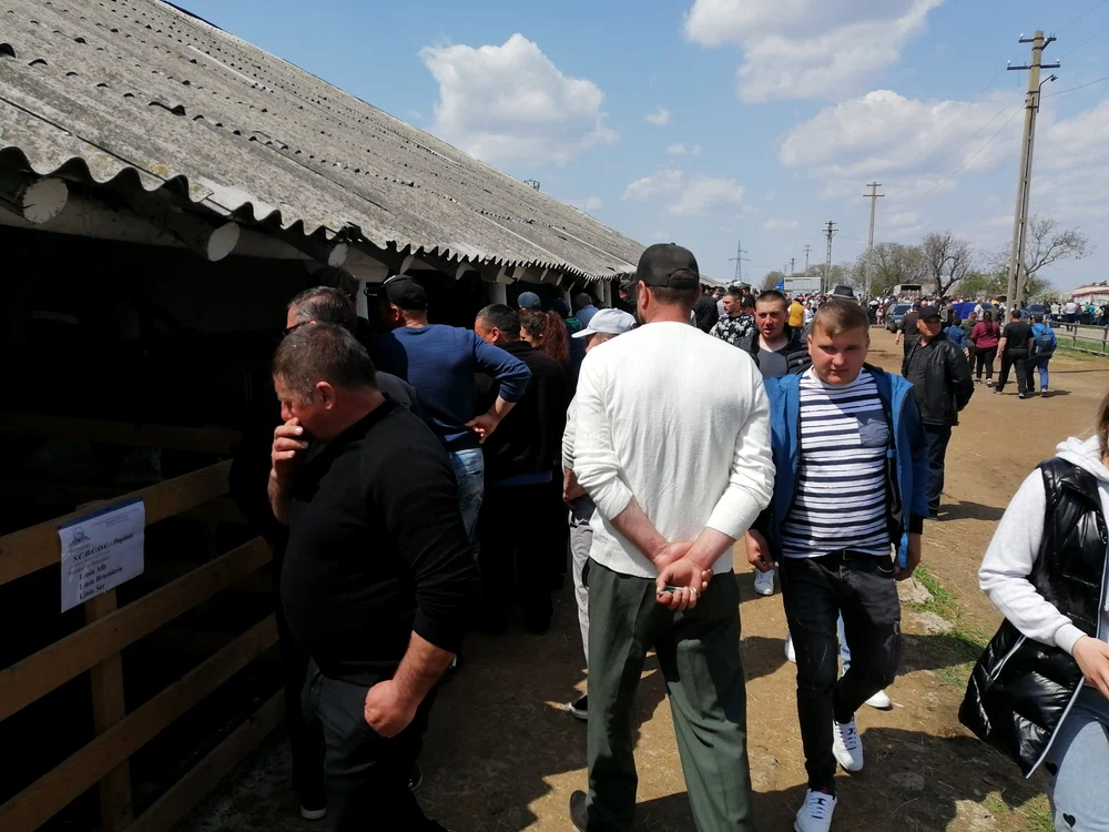 Târgul de la Popăuți, Botoșani FOTO Cosmin Zamfirache