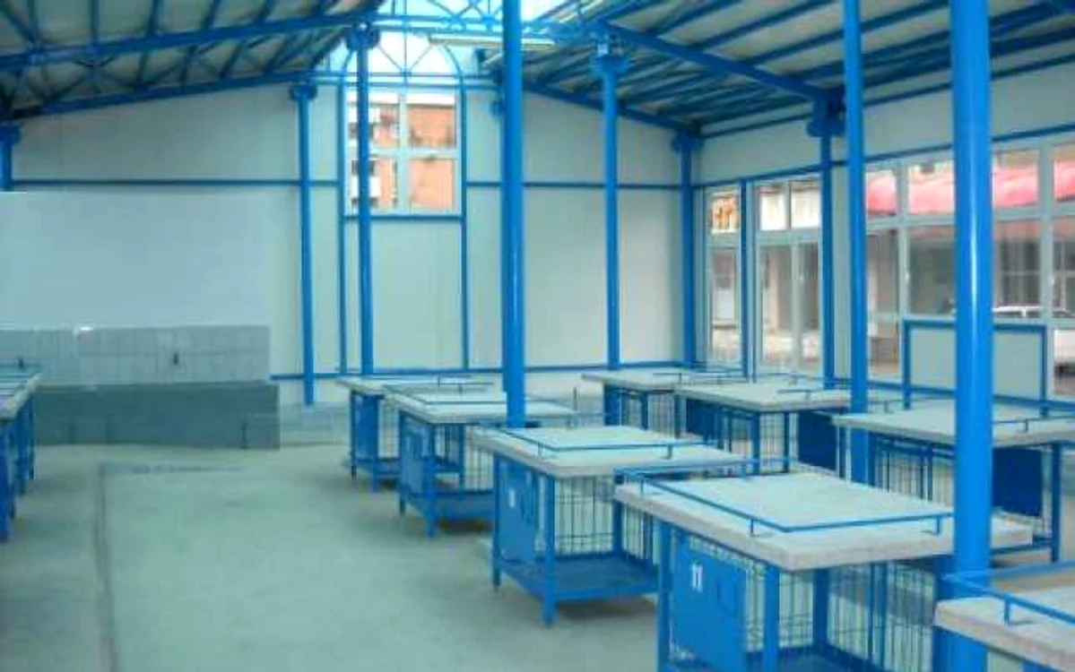 piata33