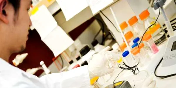 Proteina inhibă multiplicarea virusului
