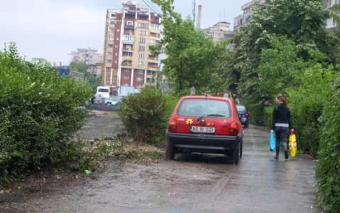 Şoferi, Hunedoara