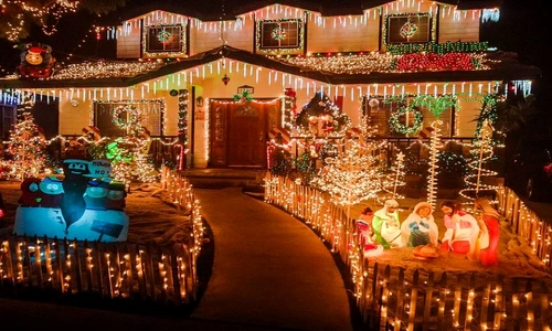 Fiecare colţ al acestei grădini e iluminat cu zeci de beculeţe  jpeg