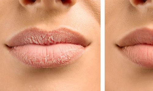 shutterstock 2370338997 jpg