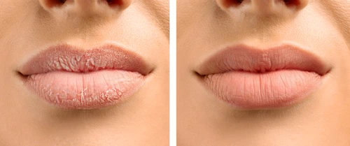 shutterstock 2370338997 jpg