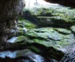 Ecologizare la Ghetarul Scărișoara Foto Parcul Natural Apuseni (13) jpg