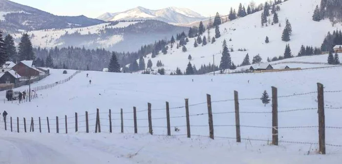 Comuna păşunală din Pasul Tihuţa se umple iarnă de iarnă de schiori FOTO: Bianca Sara