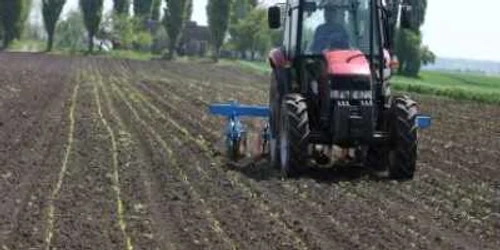 Creditul "Primul Siloz", de săptămâna viitoare