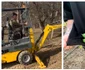 Producția de castraveți a Danei Nălbaru