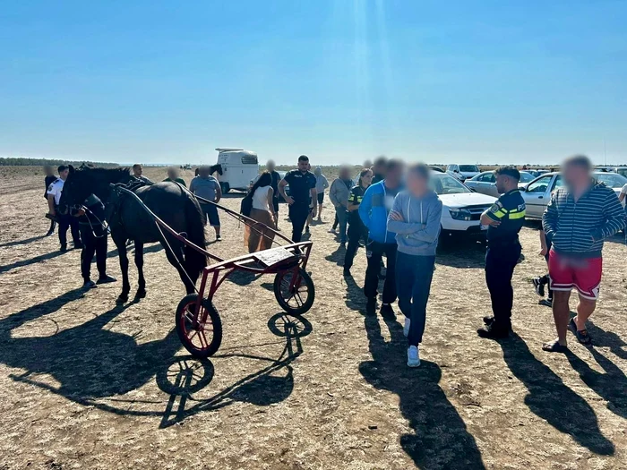 Polițiștii au amendat mai mulți proprietari de cai FOTO: IPJ Olt