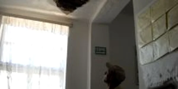 Școlile aveau tavanele fisurate