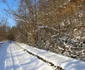 calea ferata deva brad zona pestera si valisoarea foto daniel guta adevarul