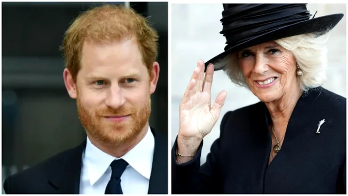 Prințul Harry a vorbit-o de rău pe regina consoartă, Camilla (sursa FOTO Getty & Profimedia)