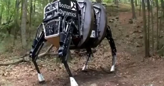 Câinele robot se poate deplasa pe orice tip de teren