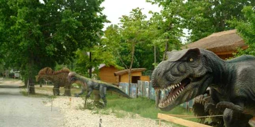 Natura Dino Park Constanta