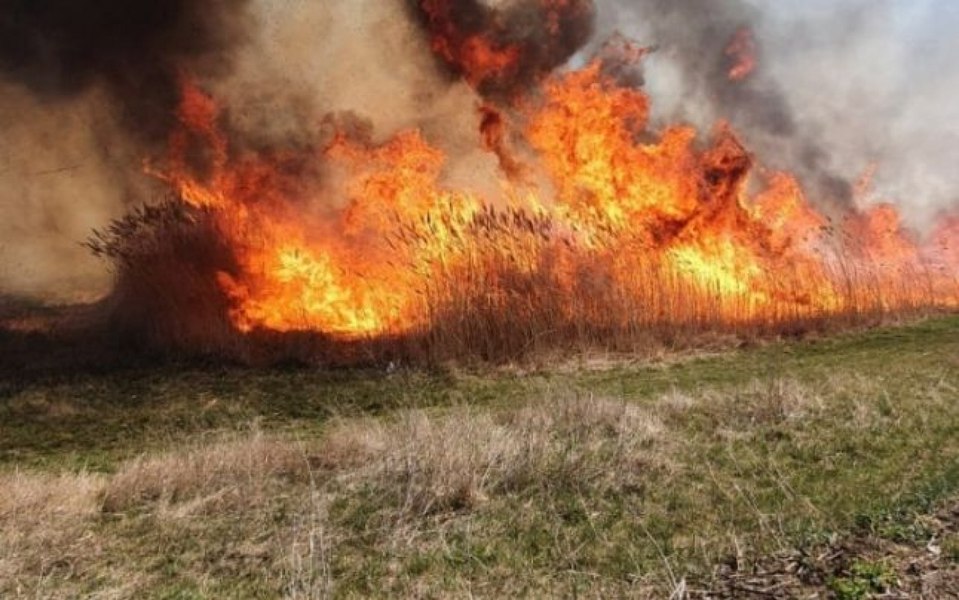 Copil intoxicat cu fum în județul Buzău din cauza unui incendiu de vegetație