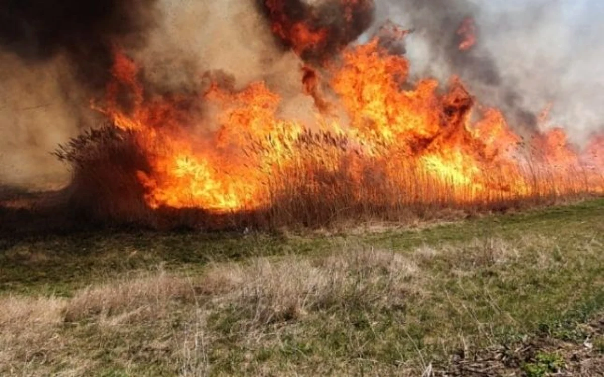 Incendiul s-a propagat repede, din cauza vântului. Arhivă adevarul.ro 