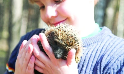 1 46609 original jpg jpeg