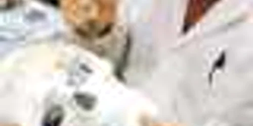 Marian Onţiu lucrează măşti de carnaval la Veneţia  