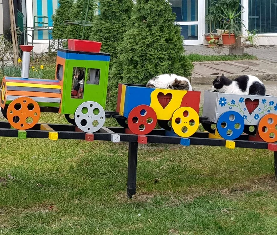 Spaţiile verzi pot fi amenajate de cetăţeni
