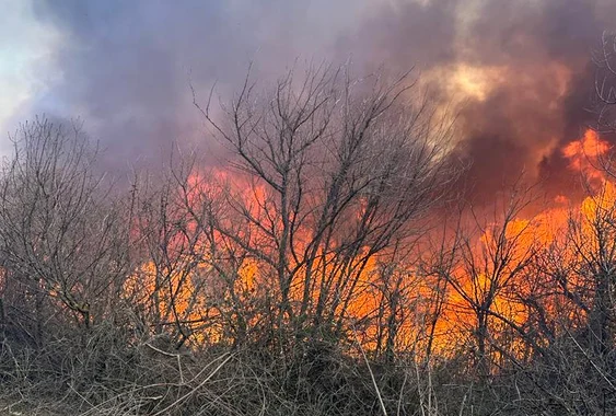 Zeci de hectare de vegetație afectată FOTO : ISU Galați 