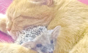 CLIIMA20121118 0063 1 jpeg