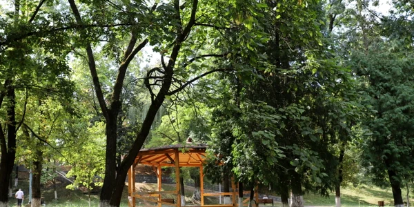 parcul corvin hunedoara foto daniel Guta adevarul