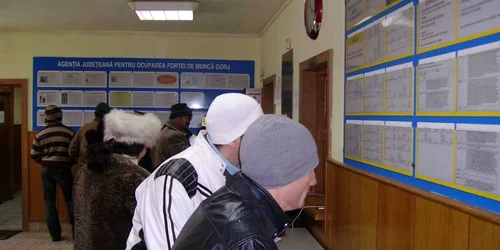 Sute de tineri gorjeni, care au terminat o facultate de inginerie, sunt şomeri