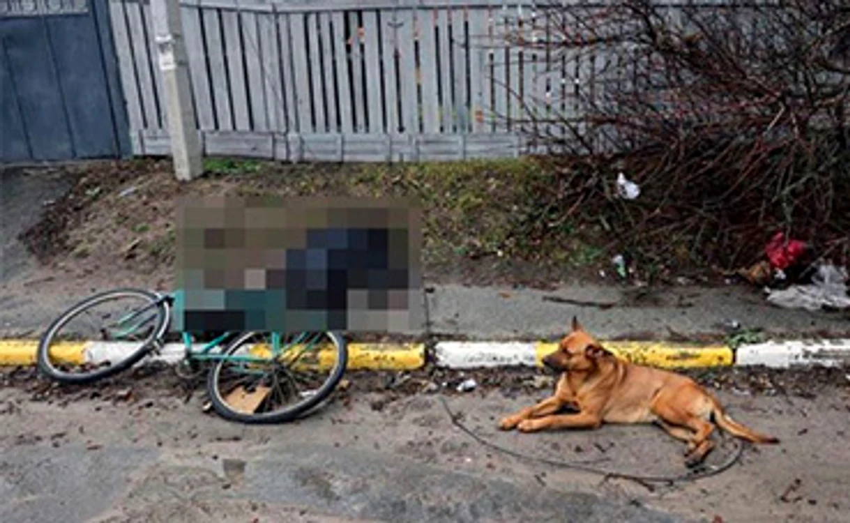 Căţelul nu a putut fi clintit de lângă trupul neînsufleţit al omului drag