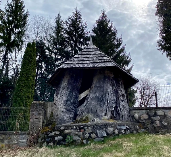 Trunchiul stejarului multisecular de pe Valea Topologului (©  Facebook /  Consiliul Județean Argeș)