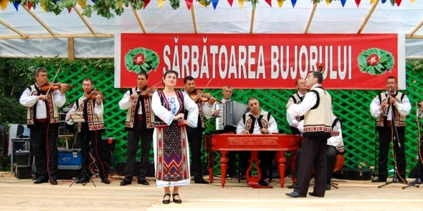 sarbatoarea bujorului galati