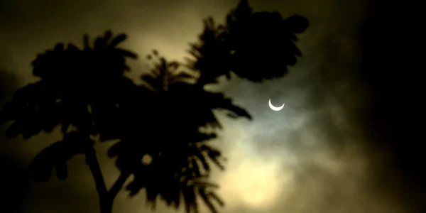 eclipsa soare asia foto epa efe 