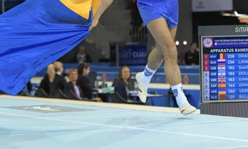 Marian Dragulescu steag jpeg