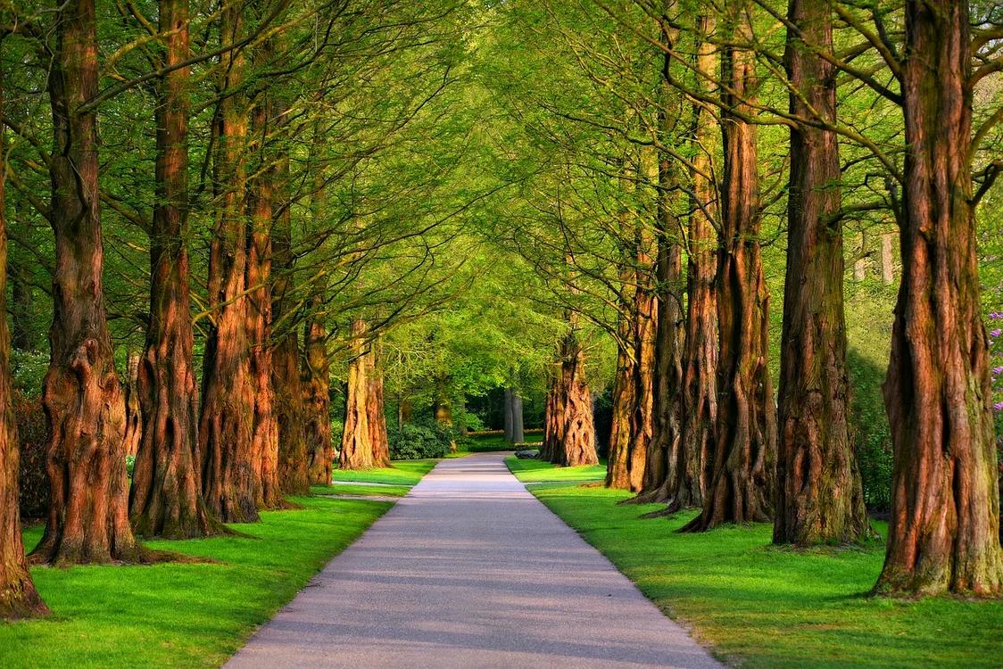 Imagine ilustrativă cu un parc / foto: Pixabay'