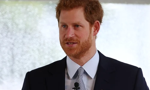 Prince Harry Visits Sydney Day 1 jpeg